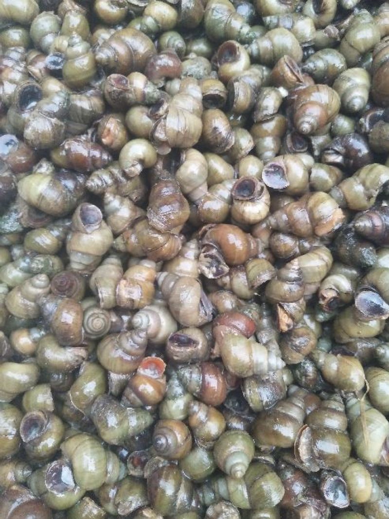 螺丝手工打捞每天现货