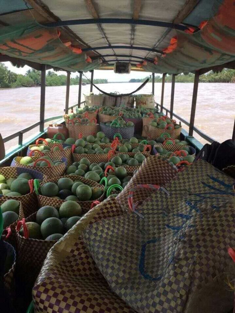 越南进口红心翡翠蜜柚