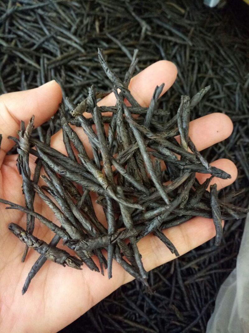 苦丁茶广西干货各种规格1斤起包邮量大从优