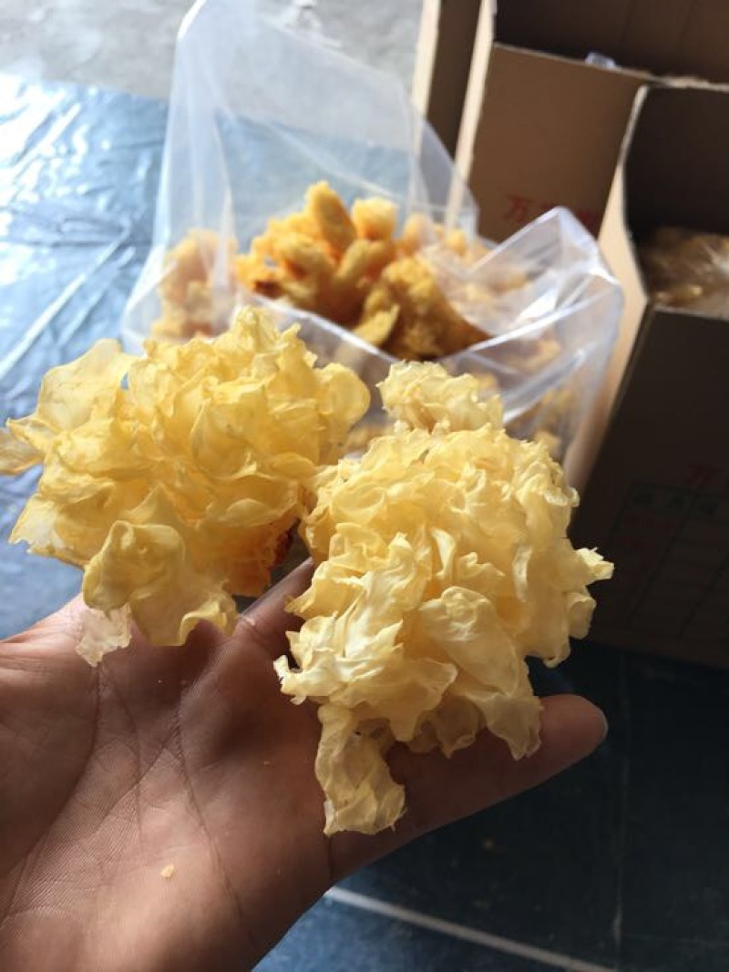 银耳银耳块批发。一件10斤包邮