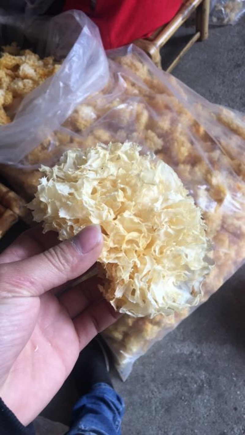 银耳银耳块批发。一件10斤包邮
