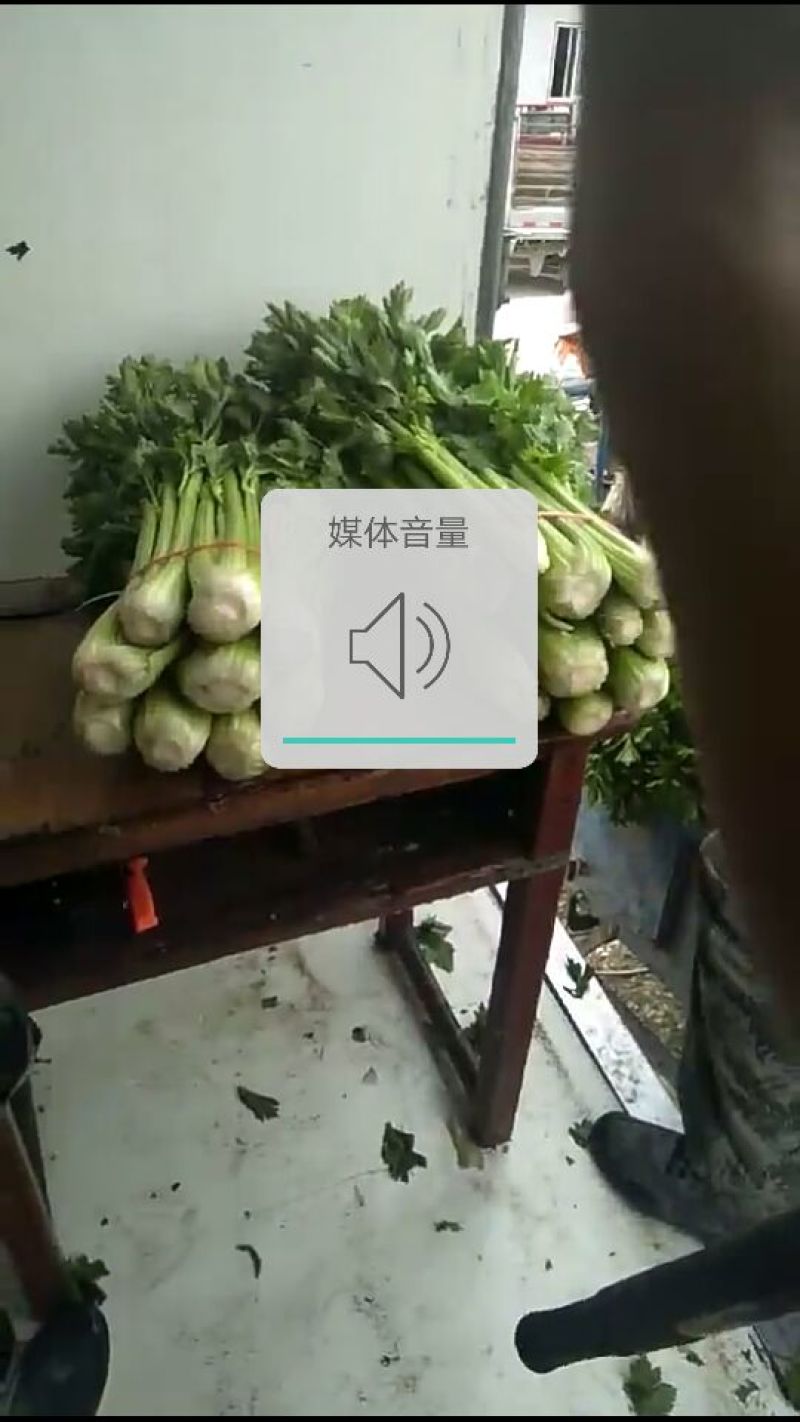 西芹