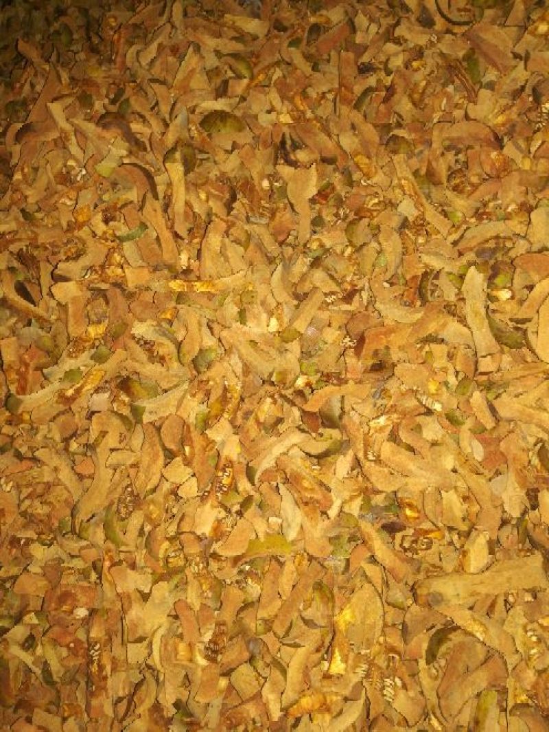 酸木瓜0.5~1斤