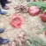 滇柏苗【圆柏】冲天柏基地直销，技术指导成活率高