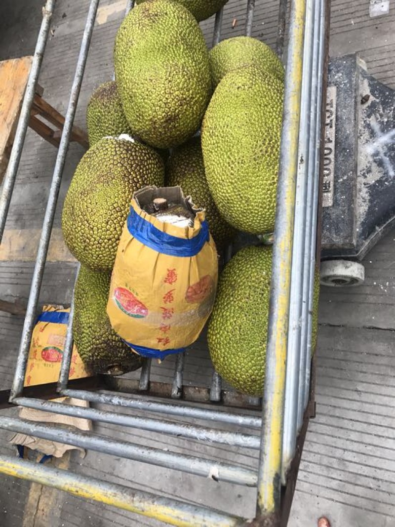 菠萝蜜大中小果都有货价格便宜