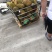 菠萝蜜大中小果都有货价格便宜