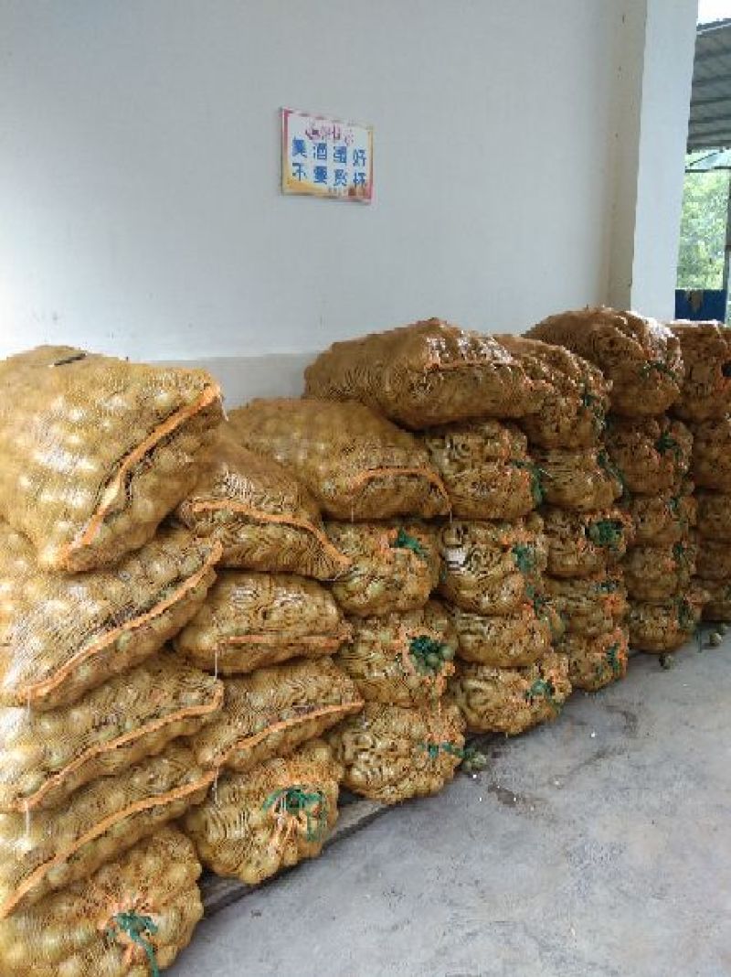大凉山大优鲜核桃！