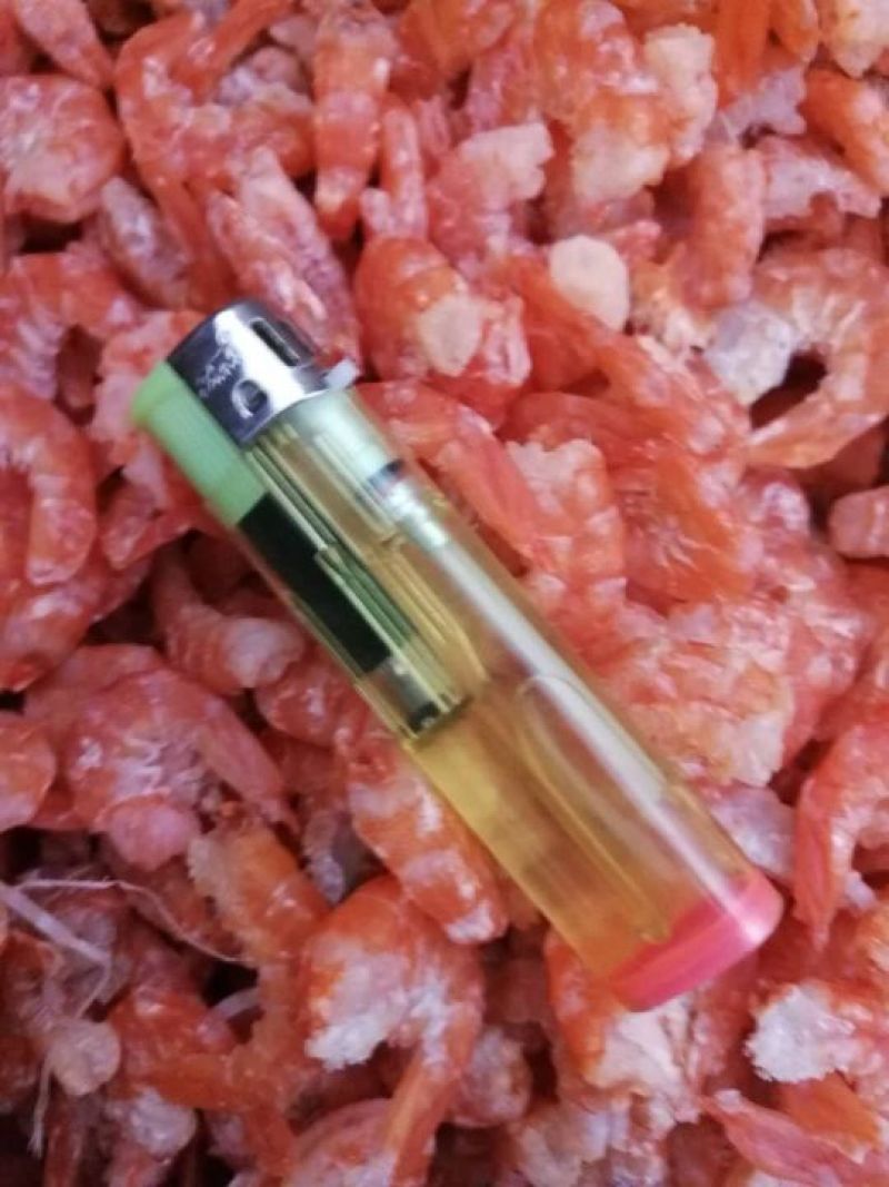 纯淡干无盐一级海米