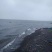 工厂直营海水虾干，海米