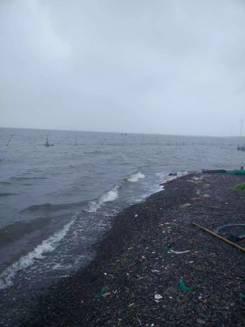 工厂直营海水虾干，海米