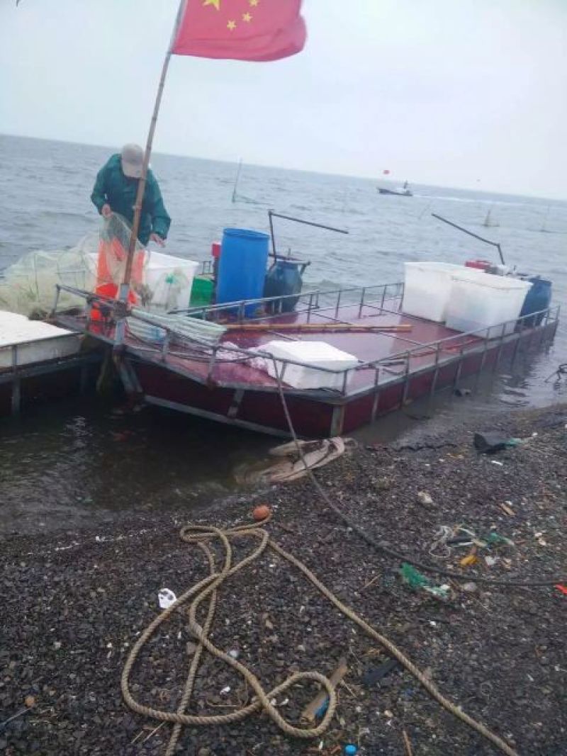 工厂直营海水虾干，海米