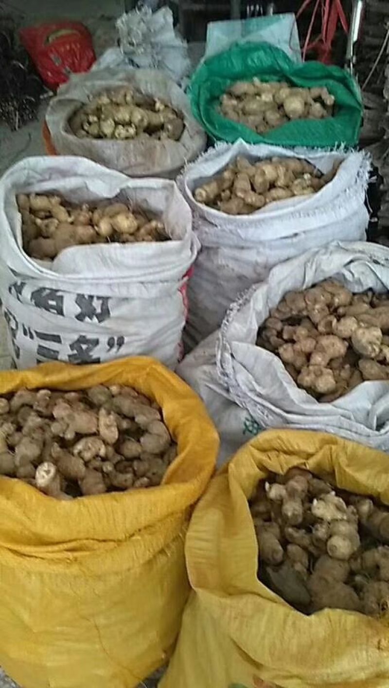 黄精
