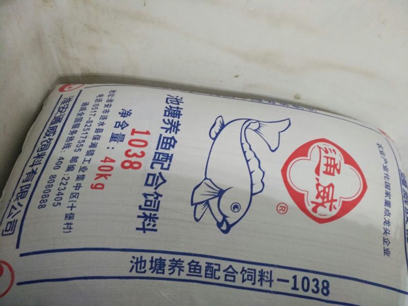 泥鳅饲料通威泥鳅专用饲料型号8838可视频看货选货！