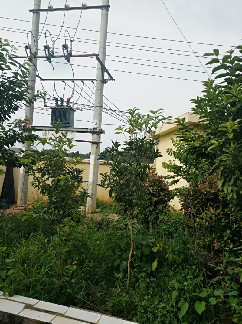 厂房出租出售