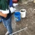 各种规格家鱼成品鱼。雅鱼苗成品鱼。小龙虾