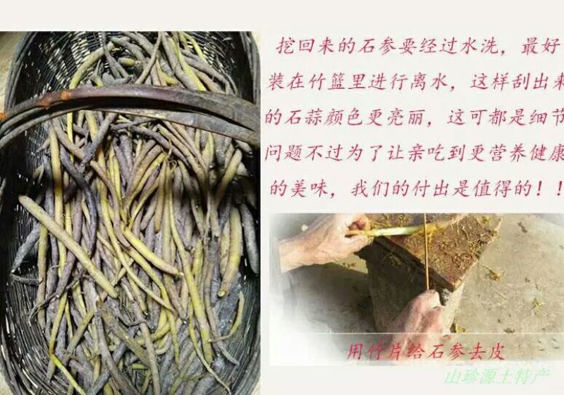 石参