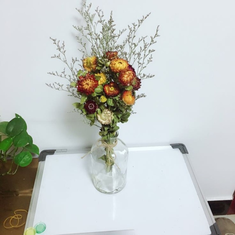 干菊花七彩菊