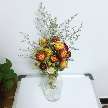 干菊花七彩菊