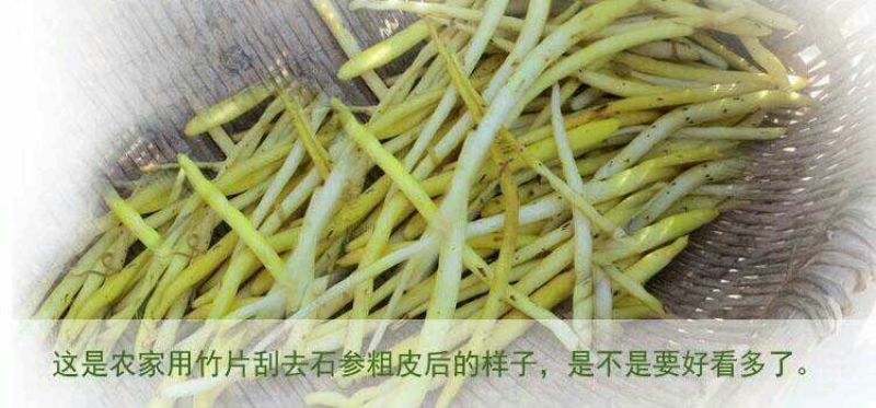 石参