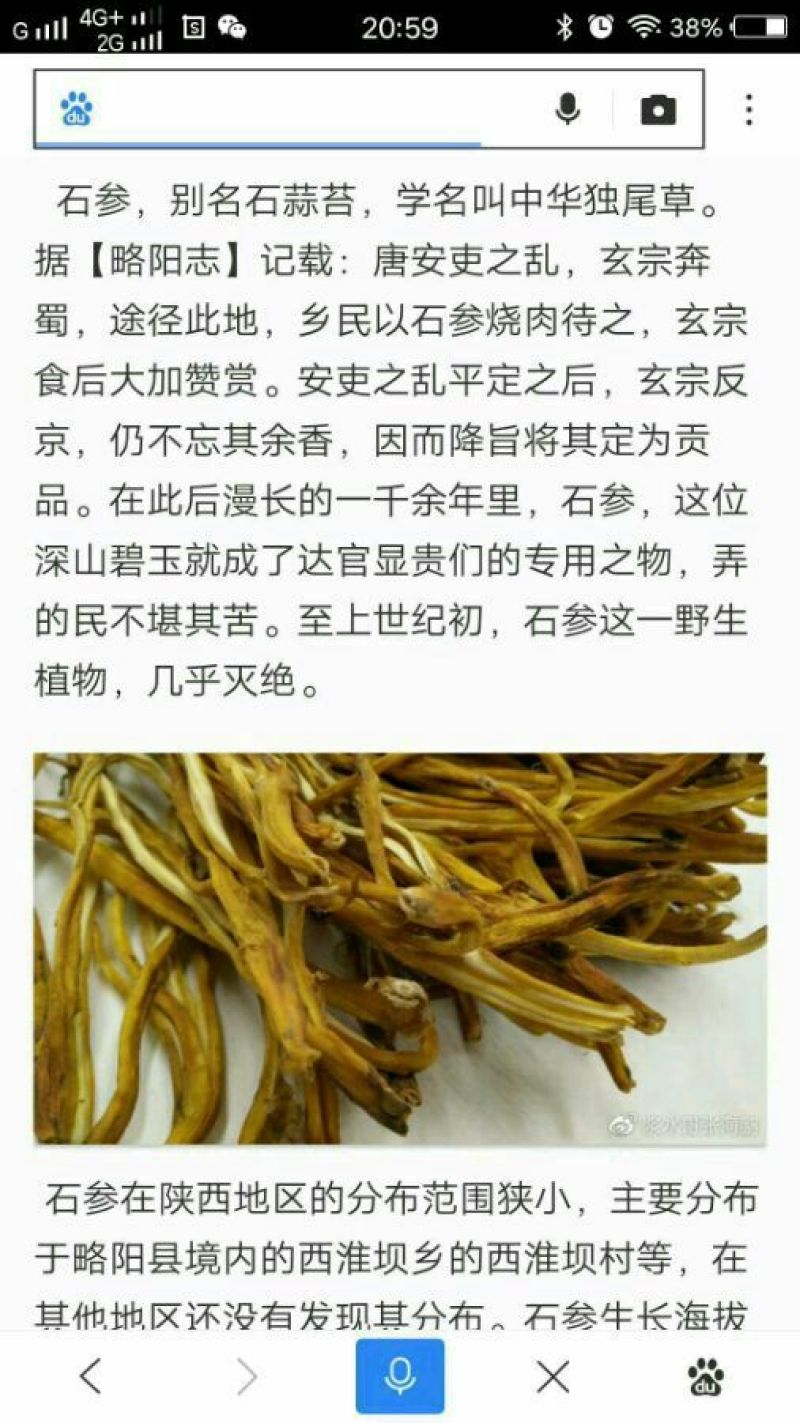石参