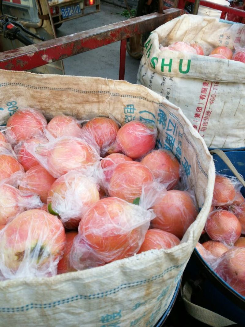观颜，绿籽，厚皮
