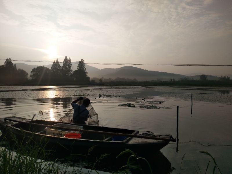 小龙虾