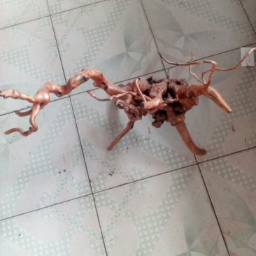 各类型态