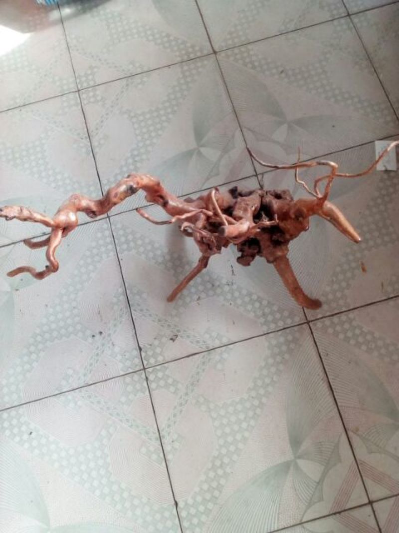 各类型态