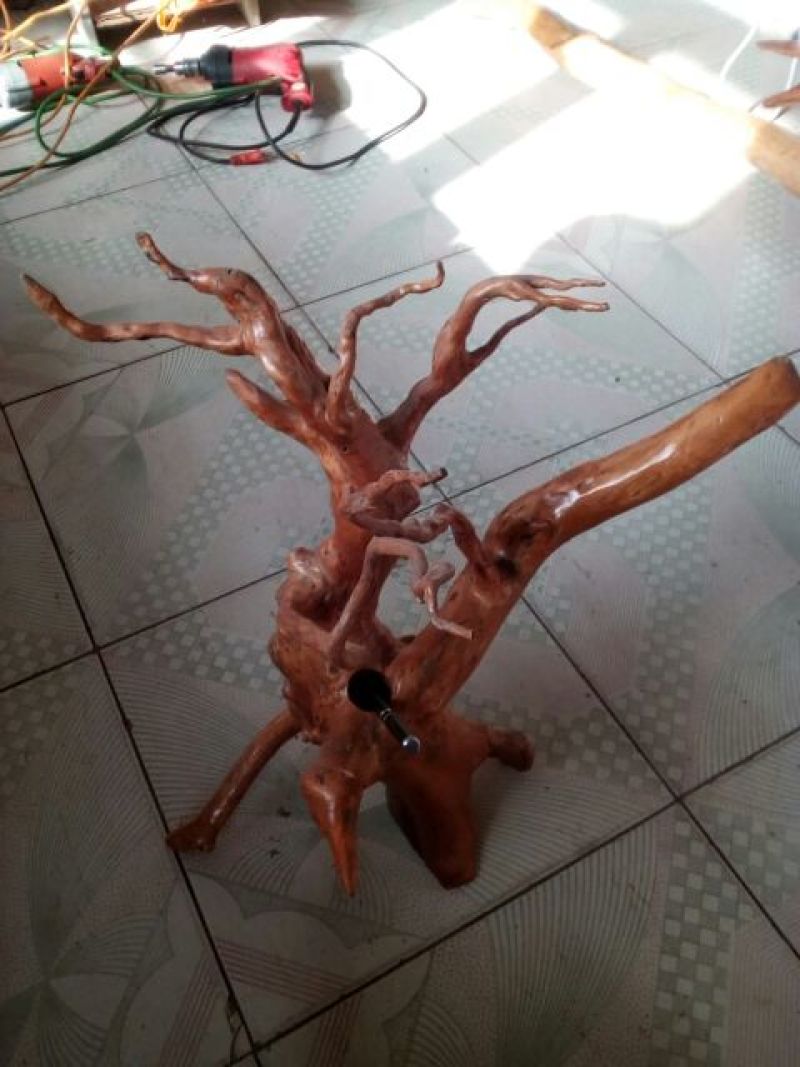 各类型态