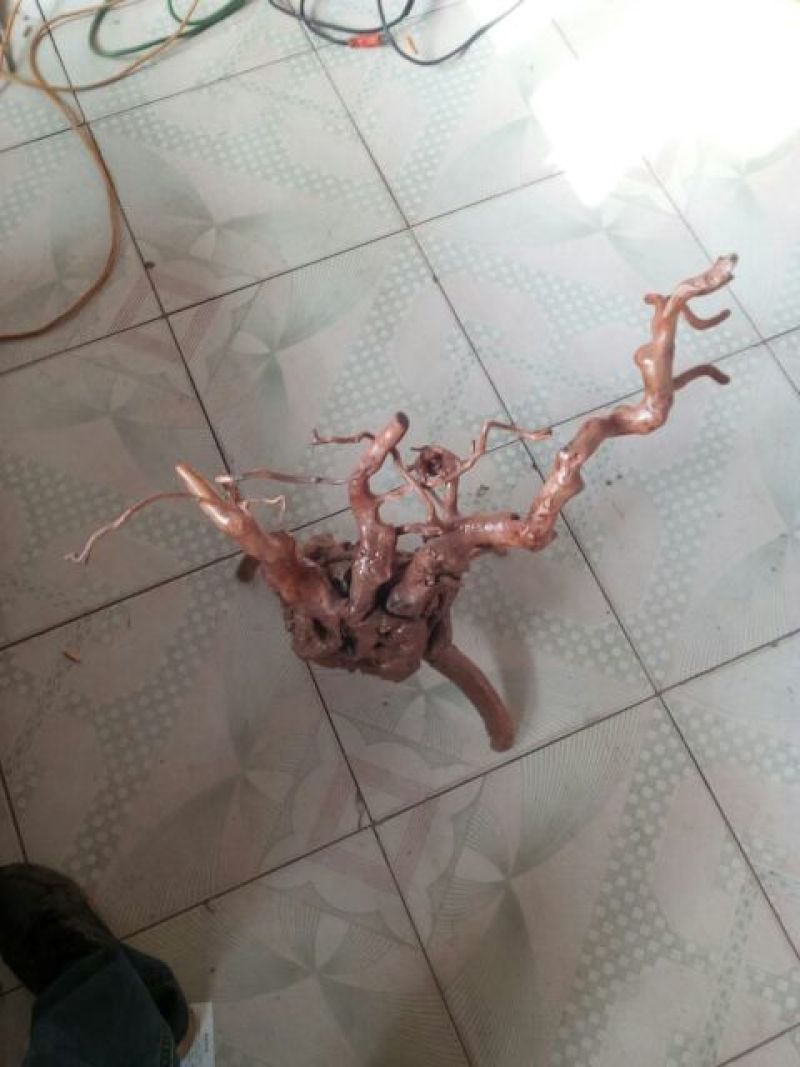各类型态