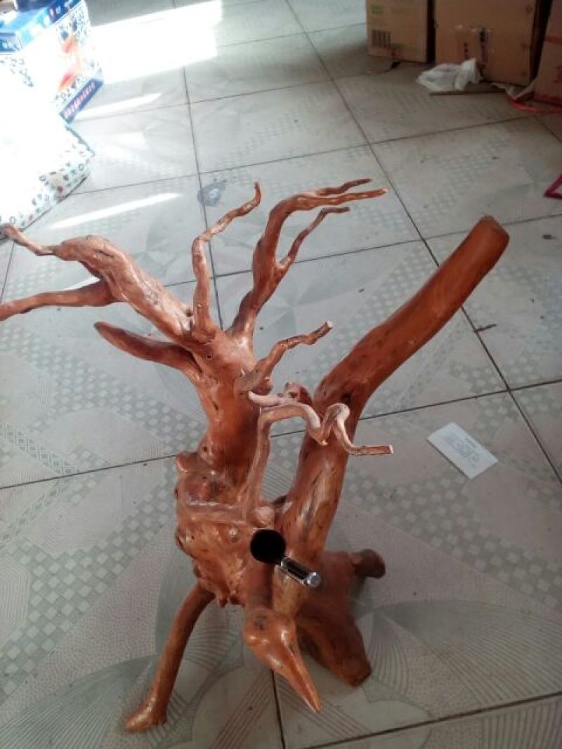 各类型态