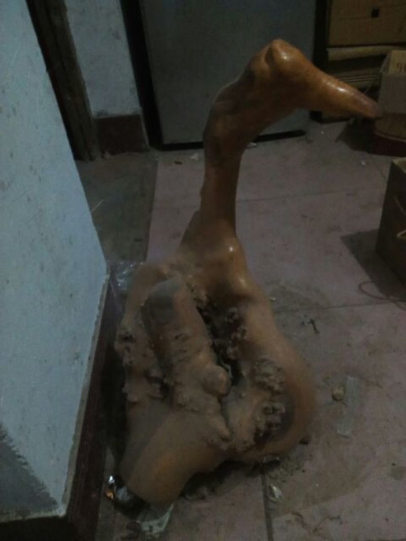 各类型态