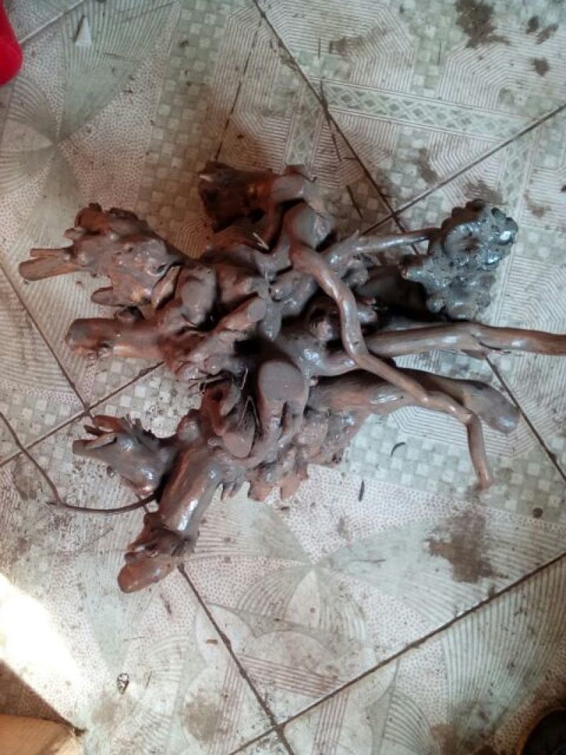 各类型态