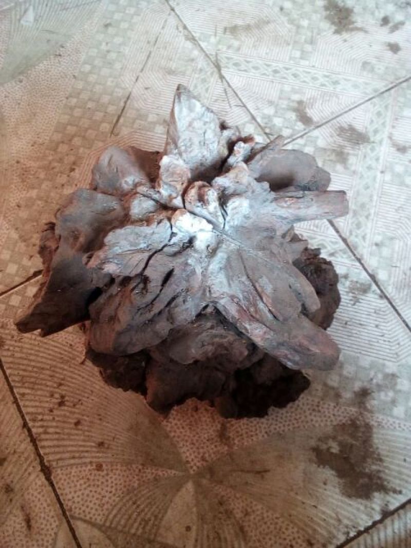 各类型态