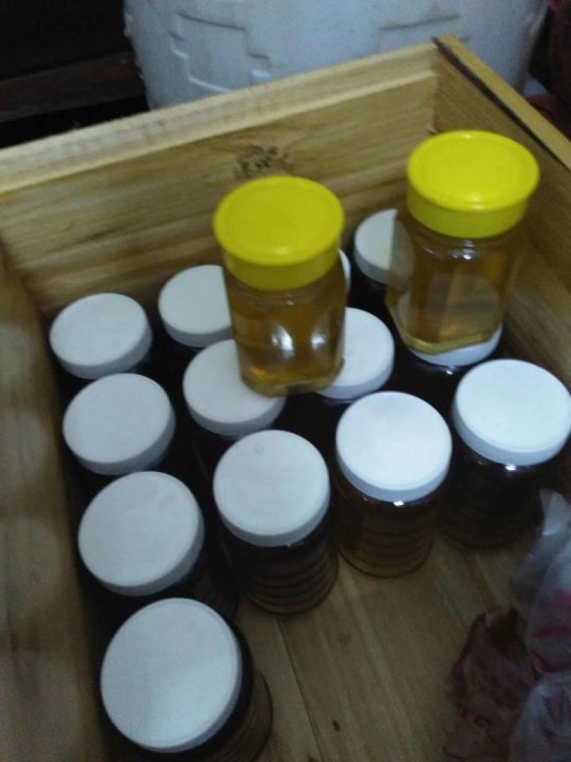纯野生蜂蜜，各种大小灌装