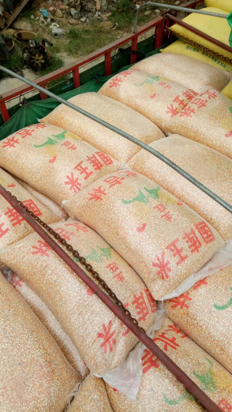 黄玉米水份14%左右