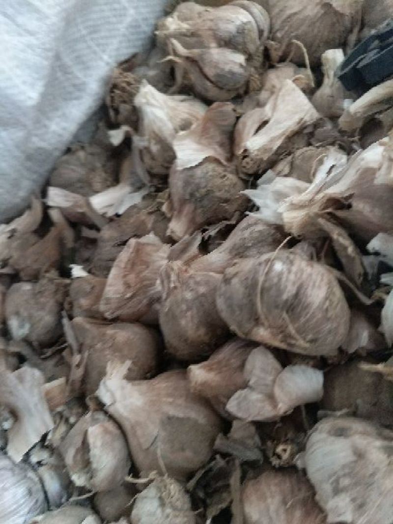 红皮大蒜