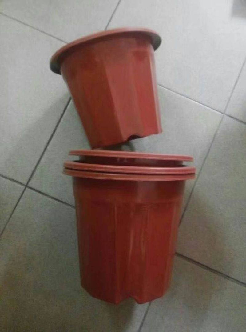 花盆接受订做