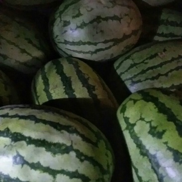 西瓜