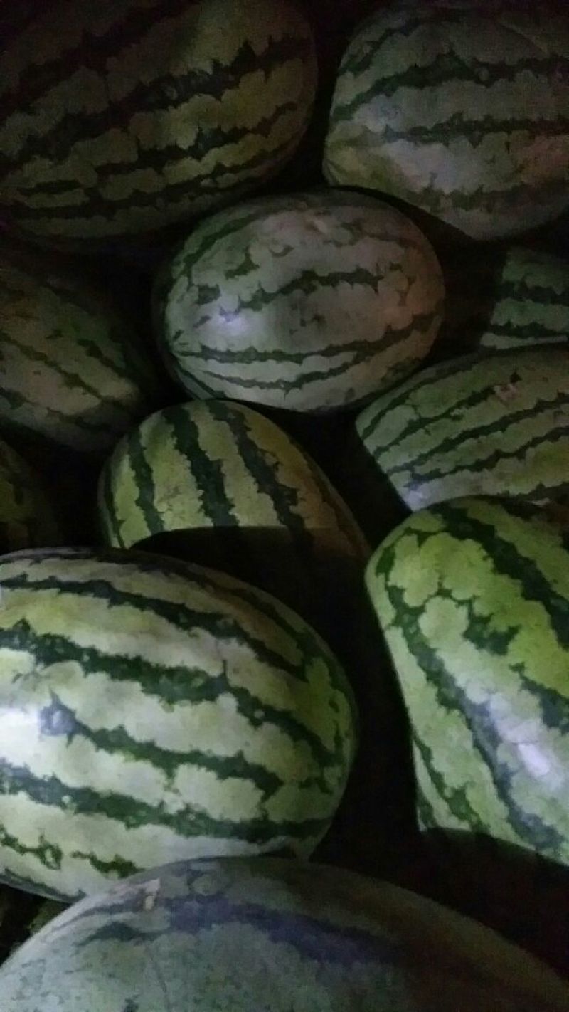 西瓜