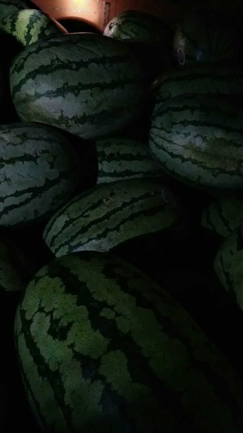 西瓜