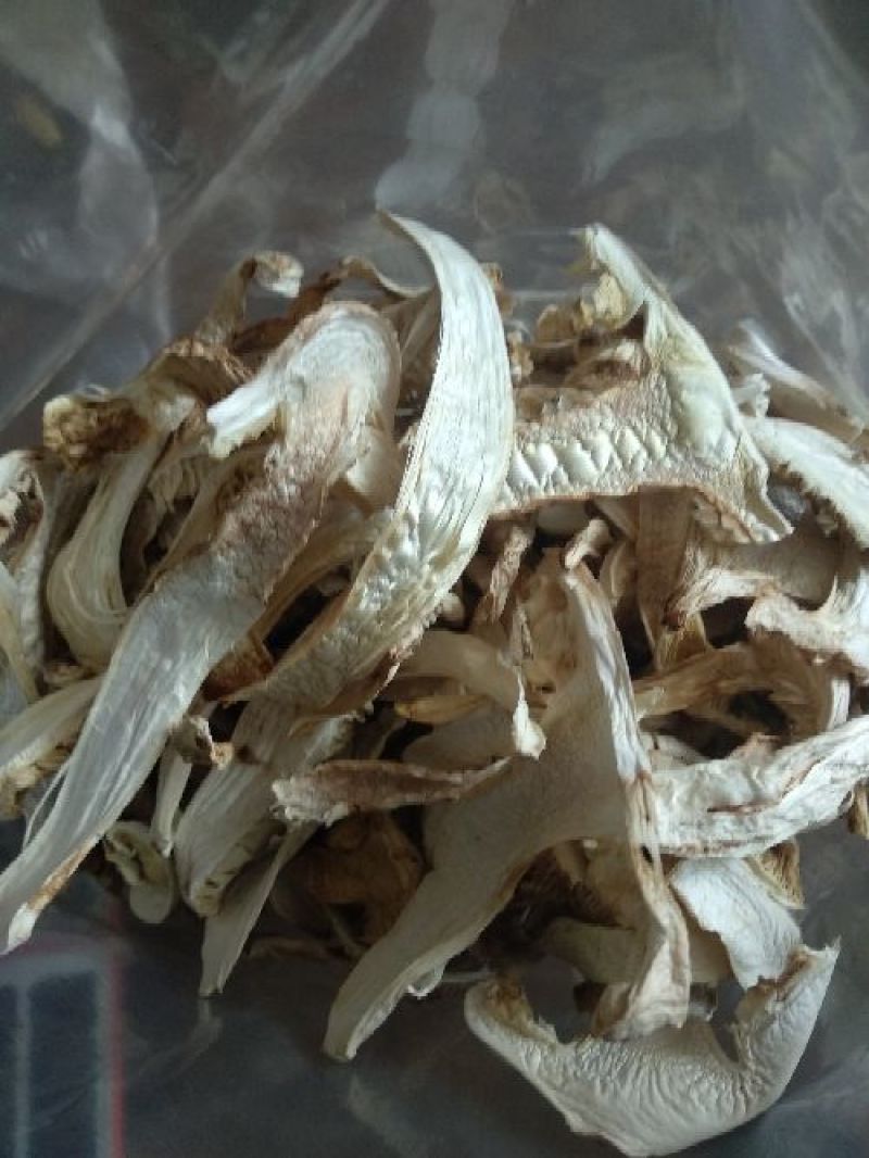 香格里拉松茸干片一件代发批发价格包邮