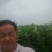 黑苹果糖心苹果优选品种优胜者，适合云南贵州四川高海拔种植