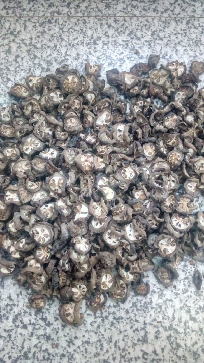 干八月瓜木通果
