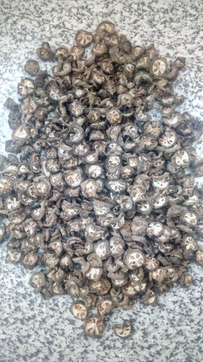 干八月瓜木通果