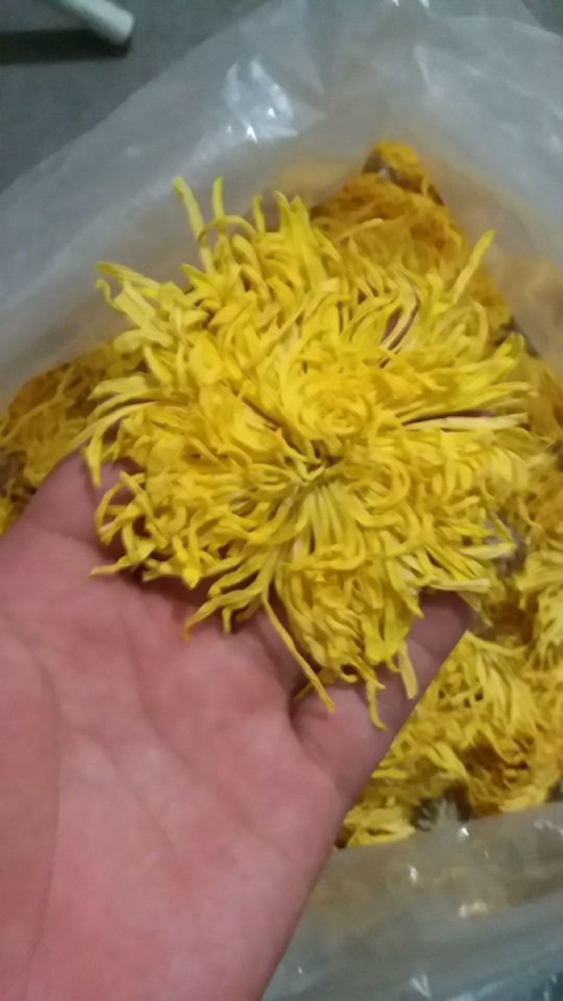 金丝黄菊散货
