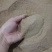 黄粉虫粪虫沙