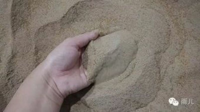 黄粉虫粪虫沙