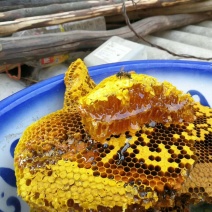 野生土蜂蜜百花蜜