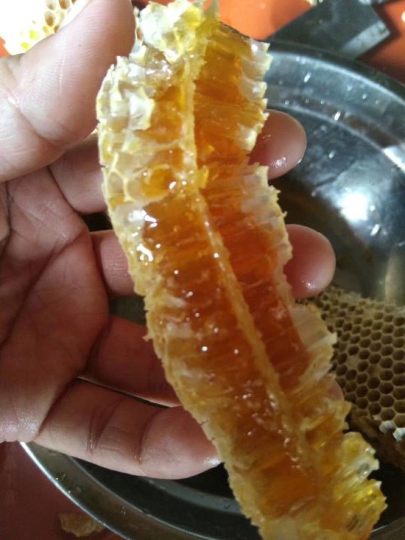 农家纯正蜂蜜